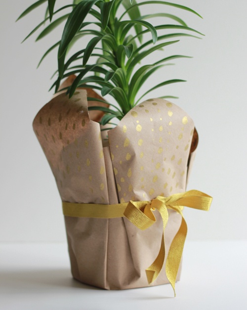Упаковка цветочных горшков в подарок (Diy)