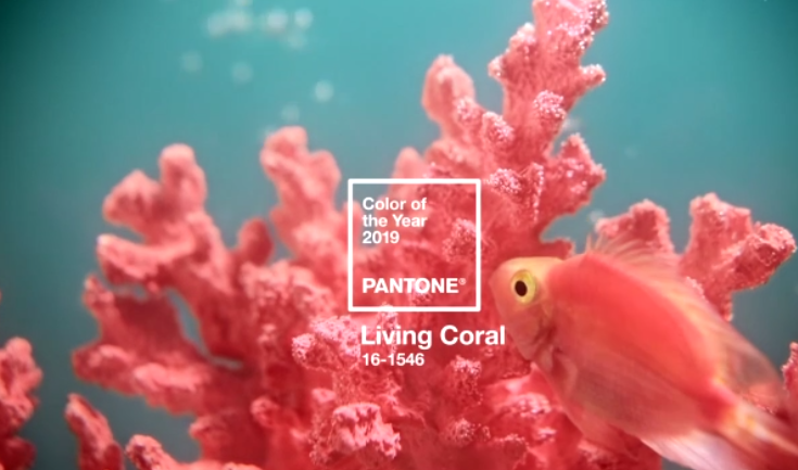 Pantone цвет года 2019: Живой Коралл