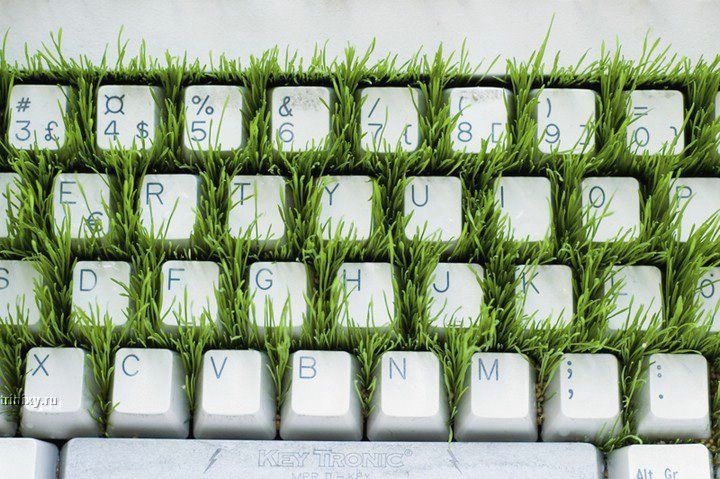 Огород в клавиатуре