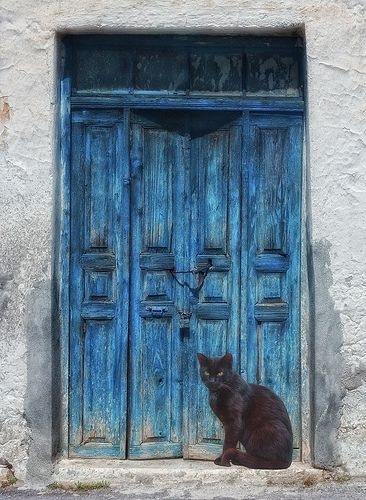 кошка рисунки на дверях