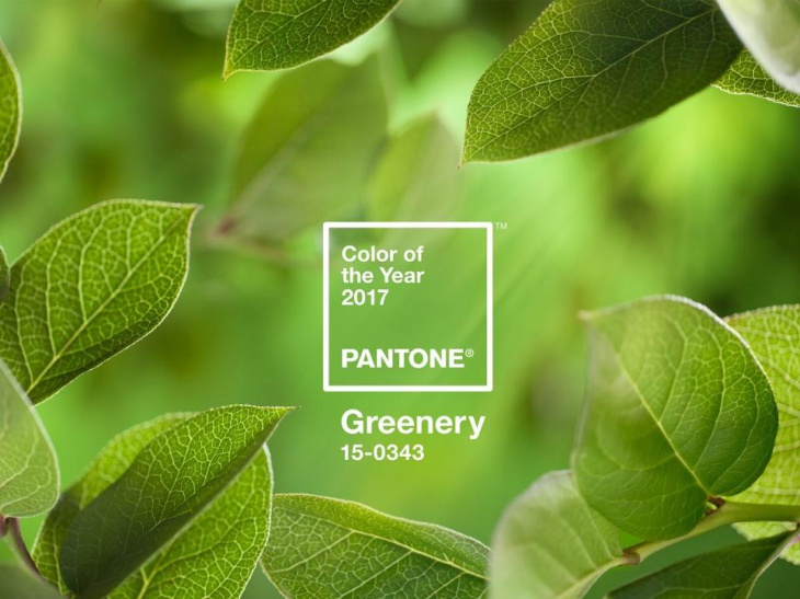 Pantone 2017  - Greenery