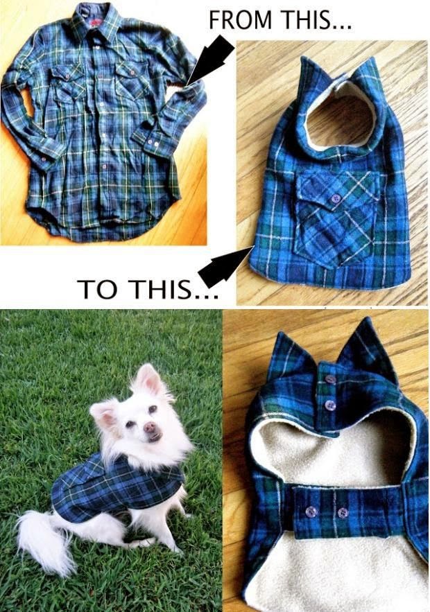 Из рубашки - для собаки