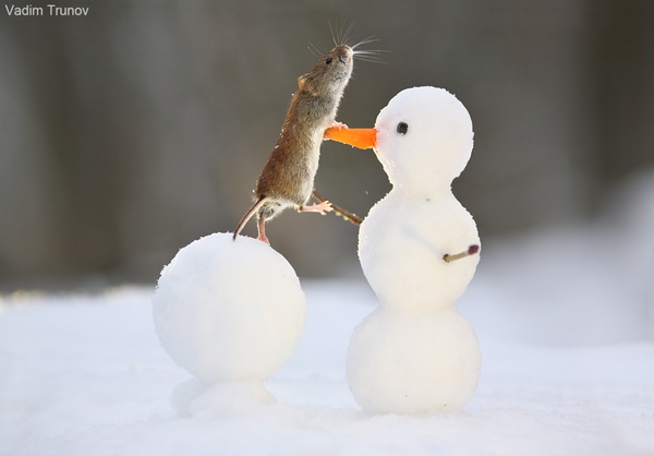funny-snowman-ideas
