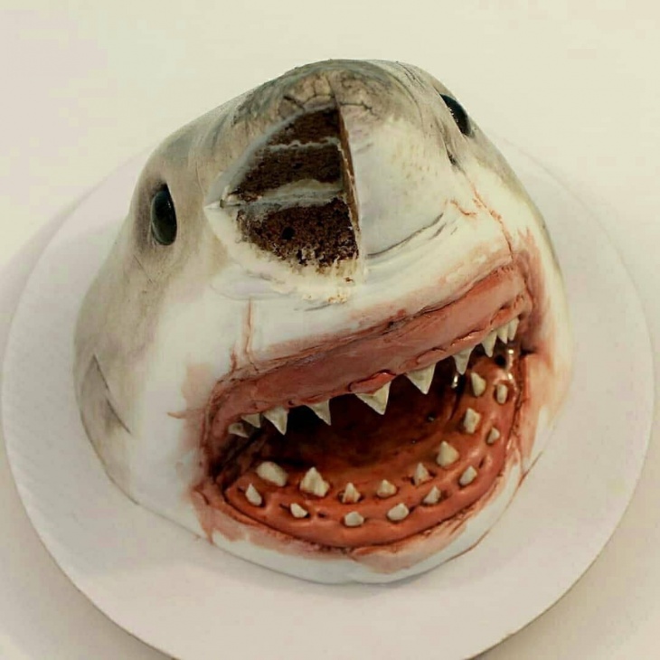 тортик акула
