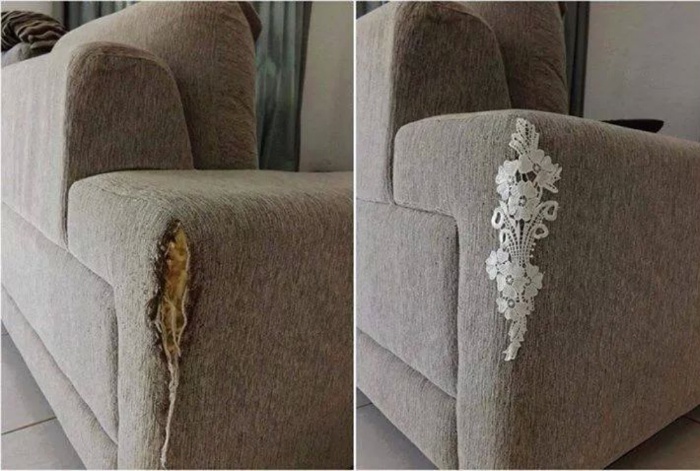 что делать если кот дерет диван и кресло