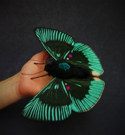 Эти крупные мотыльки и бабочки сделаны американской художницей Юми Окита (Yumi Okita) из ткани, ниток для вышивания, искусственного меха, проволоки и перьев.  Каждое своё творение она делает вручную, создавая реалистичные интерпретации существующих в природе насекомых (таких как мотылёк бражник олеандровый или бабочка павлиний глаз дневной).