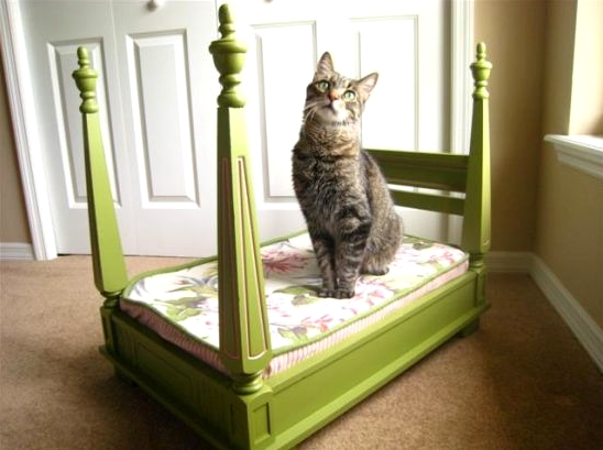 Bed for cats