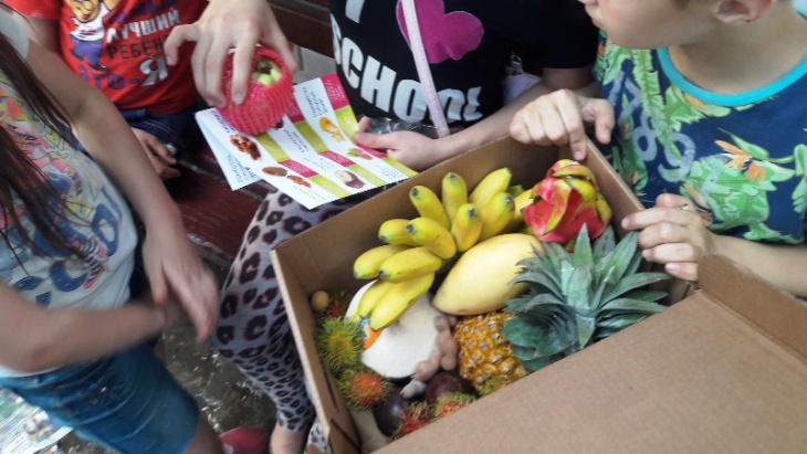 Доставка фруктов из Тайланда на дом