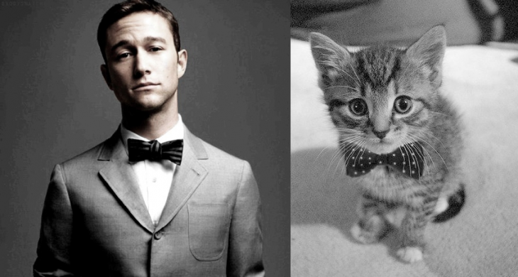 Прикольный блог для любителей парней и котиков: справа Парень, слева - Котик, делающий то же самое