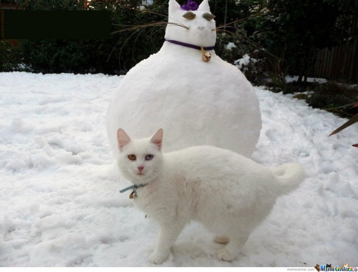 Пара необычных снеговиков