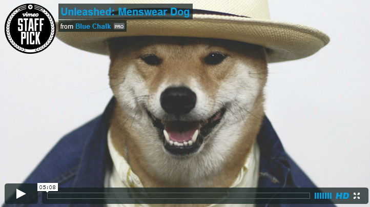 Menswear Dog (фильм)