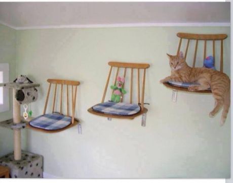 Спаленки для кошек