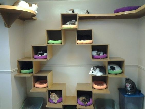 Спаленки для кошек