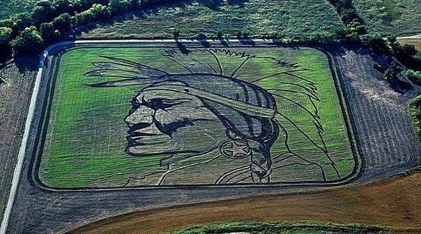 Агроживопись. Самые большие картины в мире от художника Стен Херд в качестве холста он использует поля, а кистью служит трактор. Рекордная по размеру картина - это &ldquo;звезды Голливуда 30-х годов&ldquo; площадью 65 гектар или 650.000 квадратных метров