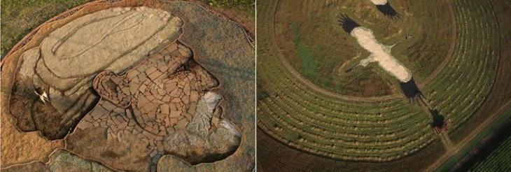 Агроживопись. Самые большие картины в мире от художника Стен Херд в качестве холста он использует поля, а кистью служит трактор. Рекордная по размеру картина - это &ldquo;звезды Голливуда 30-х годов&ldquo; площадью 65 гектар или 650.000 квадратных метров