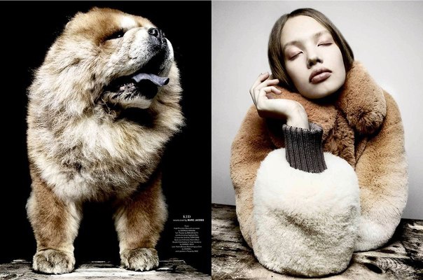Models Go Twinsies With Cute Canines For Garage Magazine.