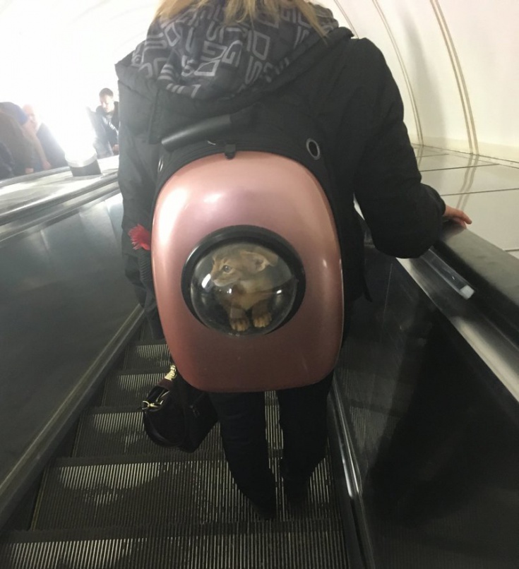 Рюкзаки из метро
