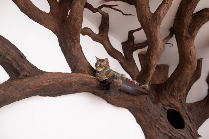 Дерево для кота diy