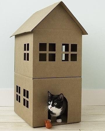 Как построить кошкин дом из двух коробок