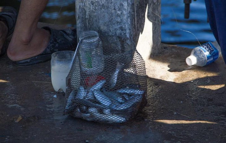 Вьетнамский способ ловить рыбу на бутылку