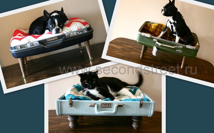 что сделать из чемодана как сделать лежанку для животного кошки собаки кастомайзинг переделка чемодана